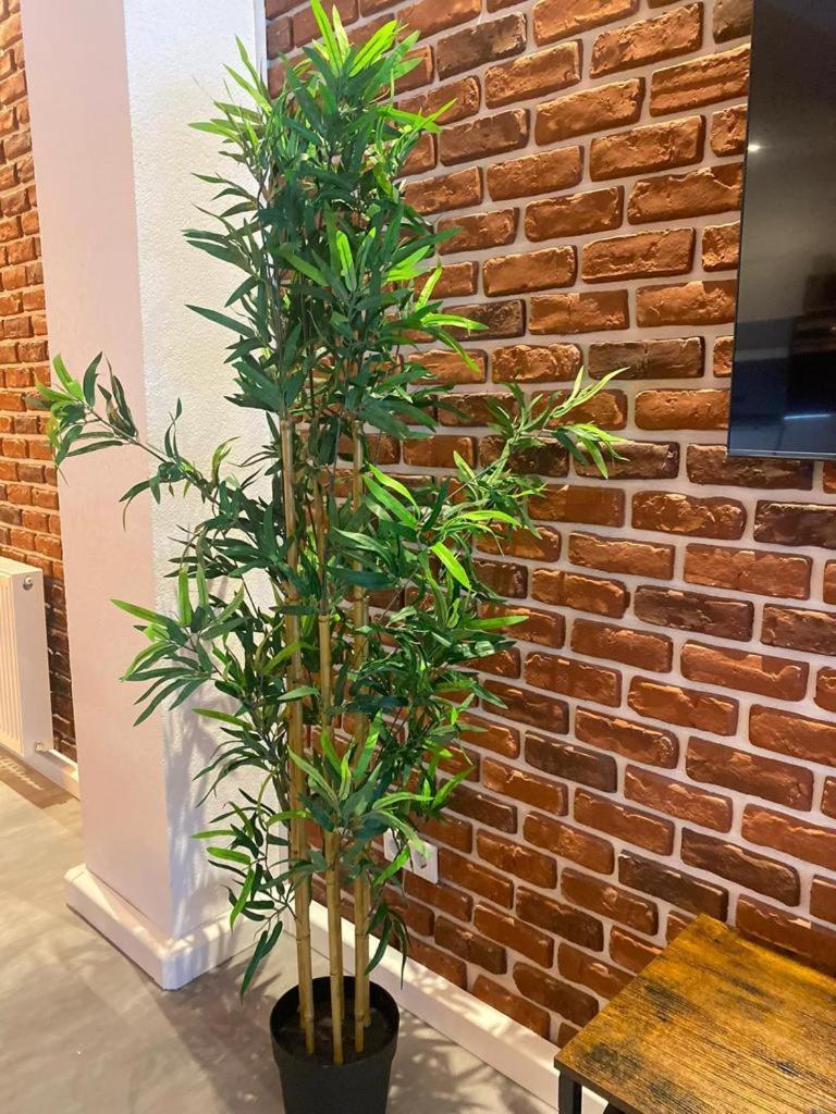 Luxurioese Loft Mit Garten Naehe Duesseldorf Messe Krefeld Bagian luar foto