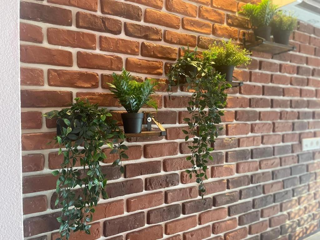 Luxurioese Loft Mit Garten Naehe Duesseldorf Messe Krefeld Bagian luar foto